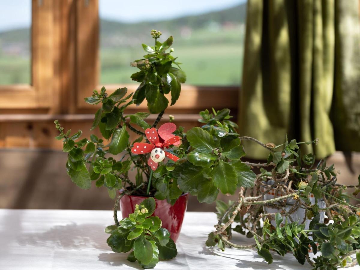 Quaint Holiday Home In Bad K Tzting With Garden Terrace Kötzting Екстериор снимка